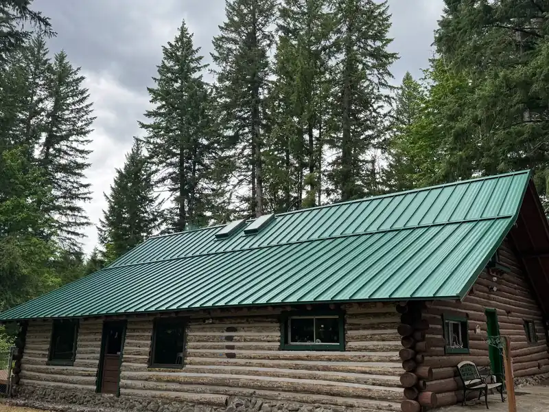 Green standing-seam metal roof on a log cabin among conifers