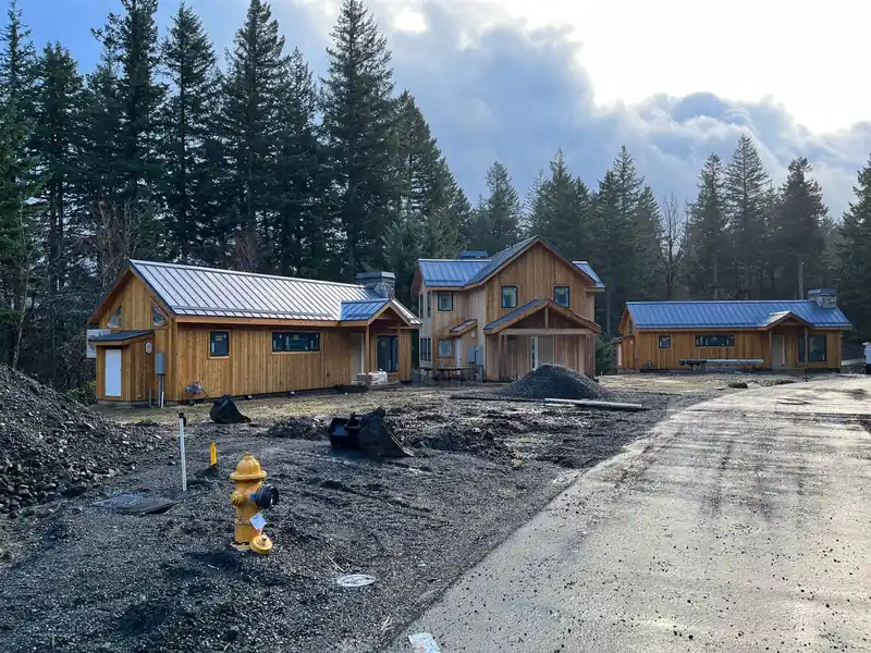 Cluster of new timber cabins with metal roofs among conifers