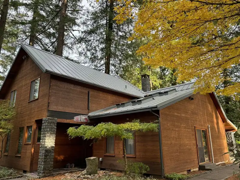 Cedar-sided cabin with a grey standing-seam metal roof under Douglas firs and a gold maple