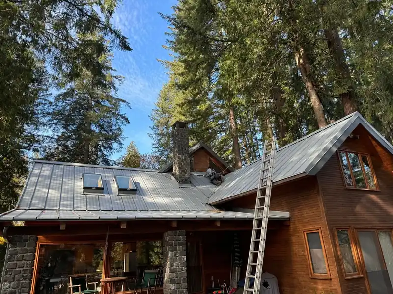 Grey standing-seam roof with skylights on a lodge-style home, ladder against the eave